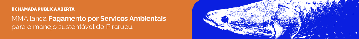 1 - BANNER Pirarucu.png