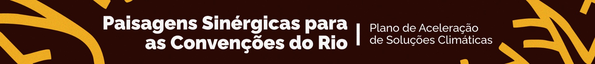 BANNER SINERGIA-20.jpg