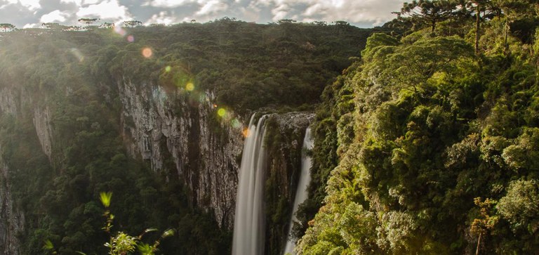 MMA lança apostila sobre Corredores Ecológicos