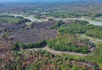 17 unidades da Federação indicam áreas prioritárias para prevenção e combate aos incêndios florestais