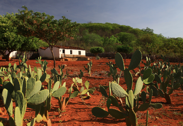 MMA_TAMANHO SITE (8).png