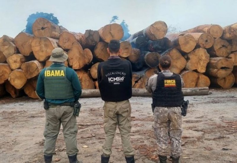 Ibama Divulgação.jpg