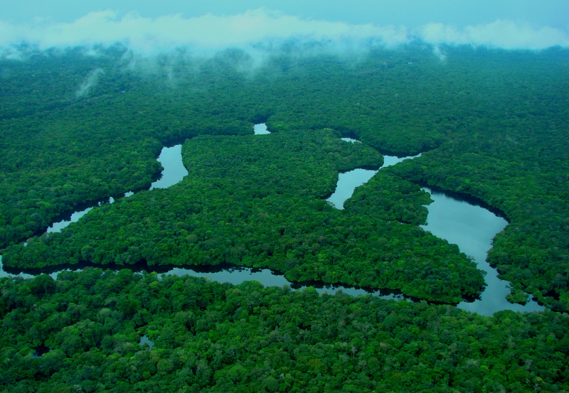 Índice registrado para a Amazônia é o menor desde o início da medição; Prodes também aponta redução do desmatamento na Caatinga, Mata Atlântica e Pampa em 2025