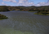 Edital destina R$ 20 milhões à restauração ecológica no Rio São Francisco