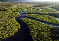 Em celebração ao Dia da Amazônia, decretos criam quatro reservas no Amazonas e ampliam parque nacional no Piauí