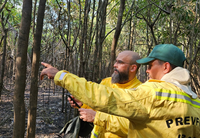 Manejo do Fogo: entenda os conceitos da lei que fortalece a prevenção e o controle de incêndios florestais