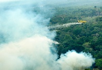 Ministro do Meio Ambiente e autoridades do Amazonas reforçam ações conjuntas contra incêndios florestais