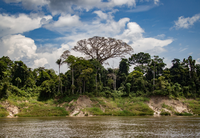 Prazo para inscrições em edital de apoio a iniciativas em territórios da Amazônia Legal é prorrogado até 21 de setembro