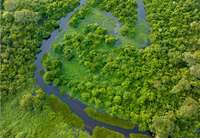 “Áreas Úmidas e Conhecimento Tradicional: Celebrar o Patrimônio Cultural” é o tema do Dia Mundial das Áreas Úmidas de 2026