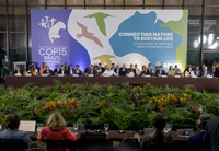 “Não há como proteger espécies migratórias sem proteger seus habitats”, diz Lula ao anunciar ampliação de unidades de conservação no Pantanal na COP15