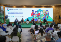 AdaptaCidades estabelece meta de chegar a duas mil cidades brasileiras até 2035