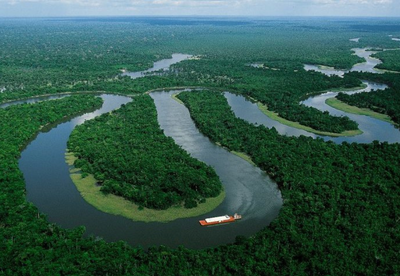 MMA CORTE_FLORESTA.png