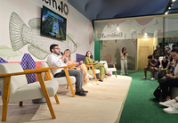 Brasil destaca avanços do Planaveg e governança da restauração em painel na COP30