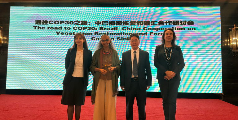 Brasil e China discutem restauração de vegetação e sumidouros de carbono florestal em Pequim.png