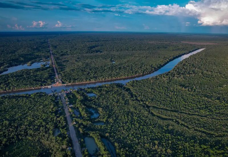 Dados confirmam avanços do Governo do Brasil para atingir a meta de desmatamento zero até 2030; Índice de desmatamento caiu 20,6% em 2025, na comparação com o ano anterior, em todos os biomas