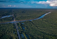 Brasil registra menor área desmatada em seis anos, segundo MapBiomas