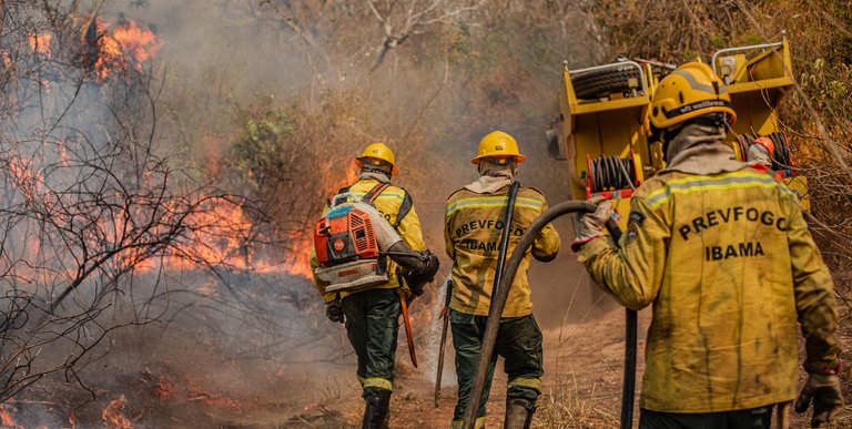  Brasil registra queda de 65,8% nas áreas queimadas e de 46,4% dos focos de calor no primeiro semestre de 2025.png