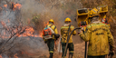  Brasil registra queda de 65,8% nas áreas queimadas e de 46,4% dos focos de calor no primeiro semestre de 2025.png