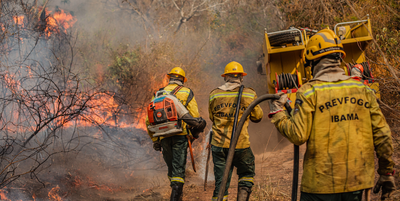  Brasil registra queda de 65,8% nas áreas queimadas e de 46,4% dos focos de calor no primeiro semestre de 2025.png