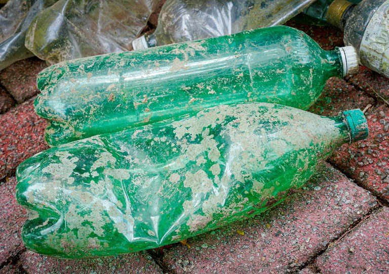 51758020209_dd61083e9a_k (1).jpg