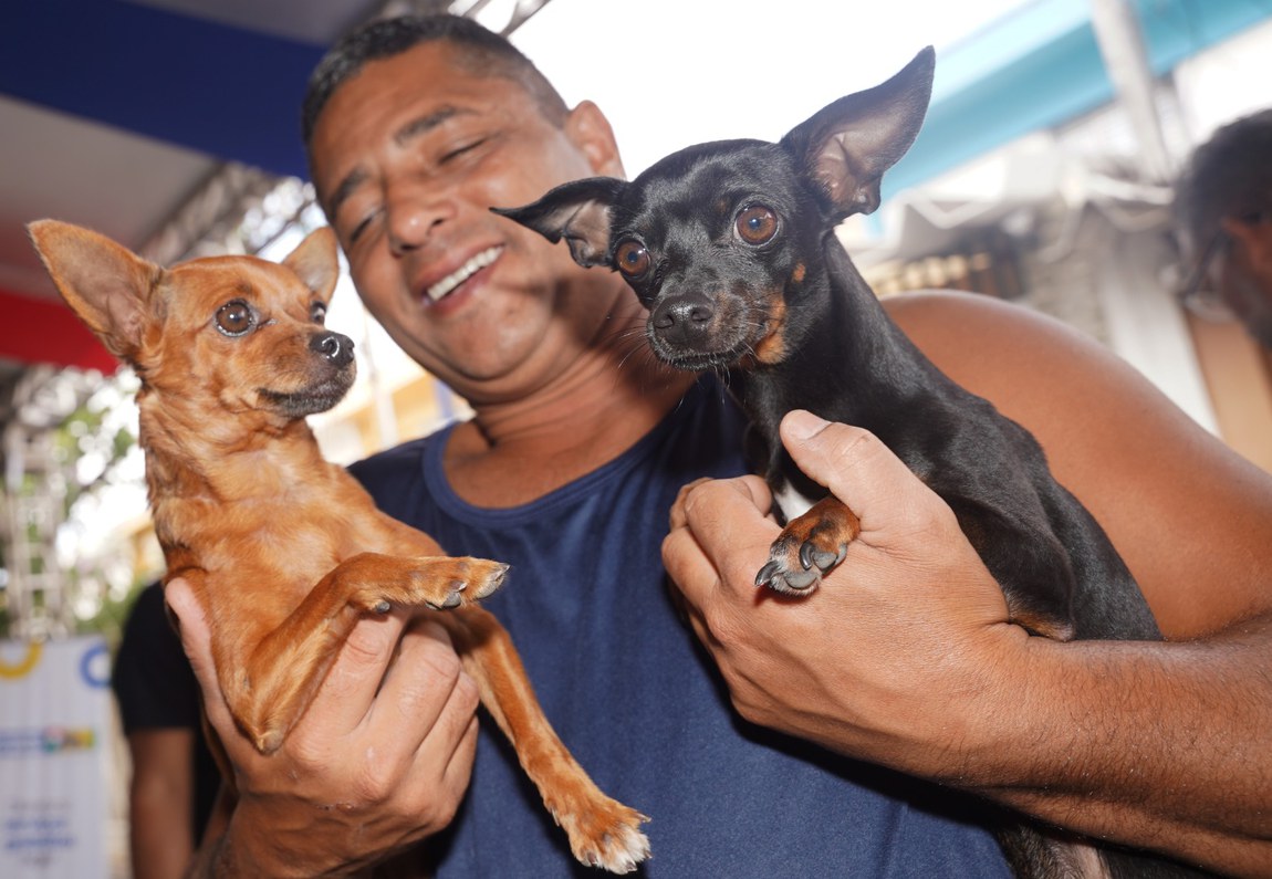 Evento no domingo (15/2), em Brasília, inclui feira de adoção responsável, com cães e gatos vacinados e castrados, além de atividades educativas voltadas à conscientização de crianças sobre o cuidado e o respeito à vida animal