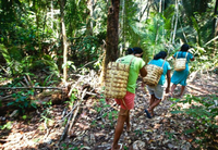 Cofa aprova prêmio para reconhecer povos e comunidades tradicionais pela conservação da Amazônia