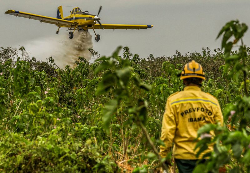 Câmara Técnica Interfederativa inicia acompanhamento de projetos financiados pelo Fundo Amazônia e define agenda conjunta para a temporada de incêndios de 2026