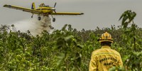 Comitê Nacional de Manejo Integrado do Fogo instala câmara técnica para fortalecer ações de combate aos incêndios