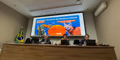 Design sem nome (27).png