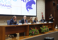 Conama aprova resolução para resgate de abelhas-sem-ferrão em áreas de supressão de vegetação