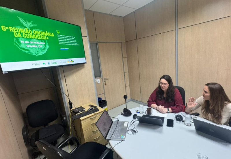 Validação ocorreu durante a sexta reunião ordinária do colegiado, realizada pelo MMA, de forma virtual