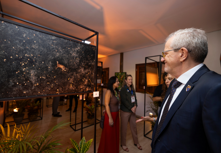 MMA CORTE_CONEXAO.png