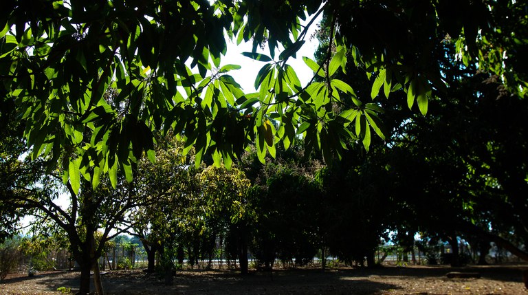 29004766825_1c82e4c2dd_k (1).jpg