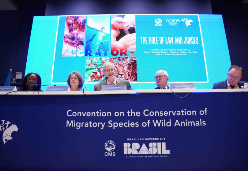 Encontro em Campo Grande reuniu juristas para apresentar caminhos de implementação legal e anunciou novas instâncias ambientais no Pantanal
