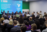 Na COP15, MMA defende papel de povos indígenas e comunidades tradicionais na proteção de espécies migratórias