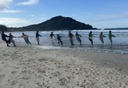pesca da tainha