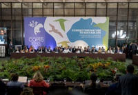 Declaração do Pantanal reúne 19 países em prol da conservação das espécies migratórias