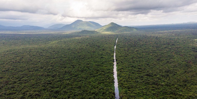 Mata Atlantica (1).jpg