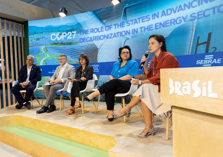 Estados-brasileiros-apresentam-ações-para-descarbonização-do-setor-energético_1100x777.jpg
