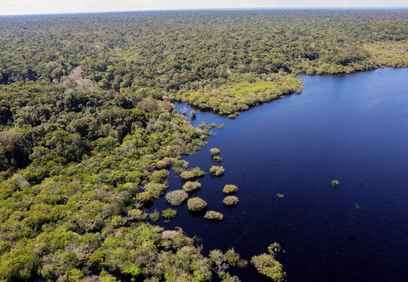 Pesquisa com participação do Inpe indica que programa, gerido pelo MMA, evitou a perda de 22,6 mil hectares de floresta e a emissão de 8,3 milhões de toneladas de CO₂