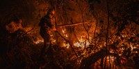 Fundo Amazônia aprova R$ 150 milhões para prevenção e combate a incêndios no Cerrado e no Pantanal