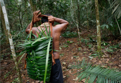 MMA CORTE_INDIGENA.png