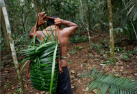 Fundo Amazônia destina R$ 80 milhões para fortalecer a produção sustentável de comunidades da Amazônia