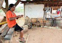 Governo do Brasil abre inscrições para o Comitê Nacional de Enfrentamento ao Racismo Ambiental e Climático