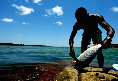 site - Pescador.jpg.jpeg