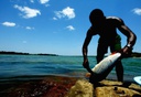 site - Pescador.jpg.jpeg