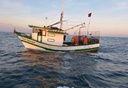 pesca oceano 