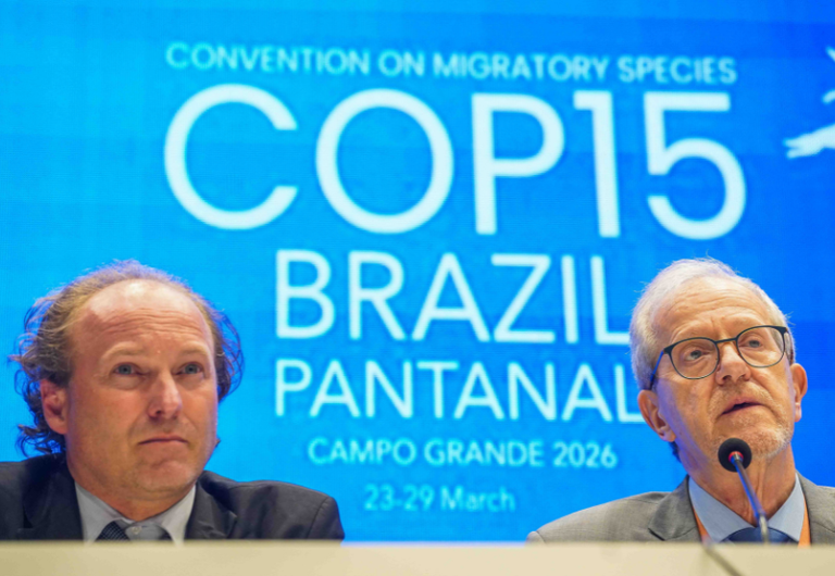 Governo do Brasil anuncia novas regras para o comércio internacional do tubarão-azul.png