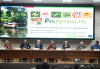 Governo do Brasil atualiza mapeamento e dimensiona em 1,2 milhão de hectares os manguezais do país
