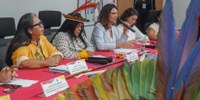 Governo federal coleta expectativas e visões dos povos indígenas para a COP30